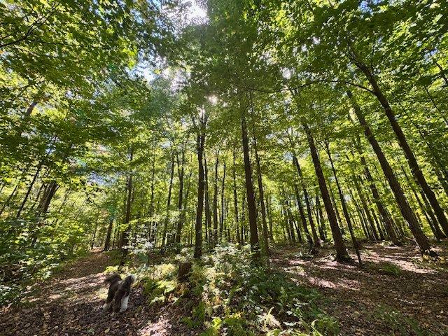 4203z Ch. Du Cordon Property Photo 25