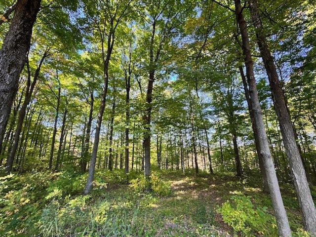4203z Ch. Du Cordon Property Photo 26