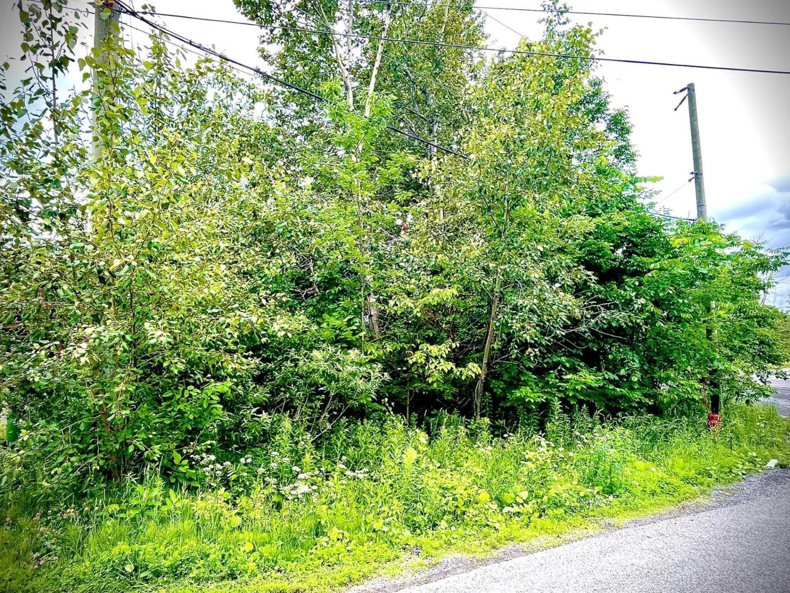 Ch. Gamache Property Photo 4