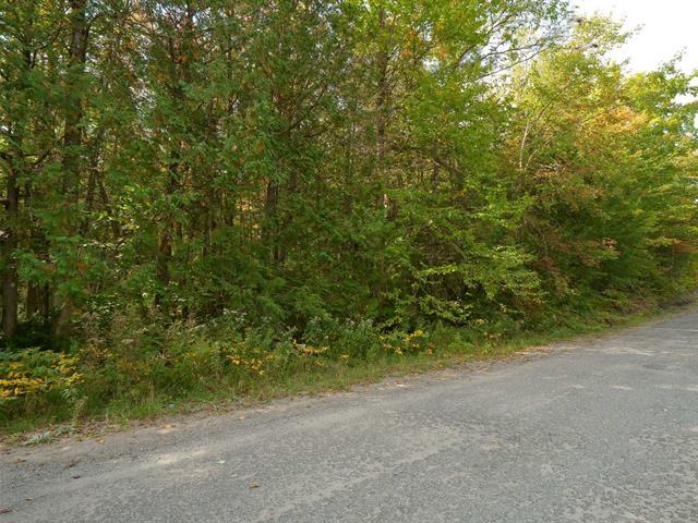 Rue Morin Property Photo 15