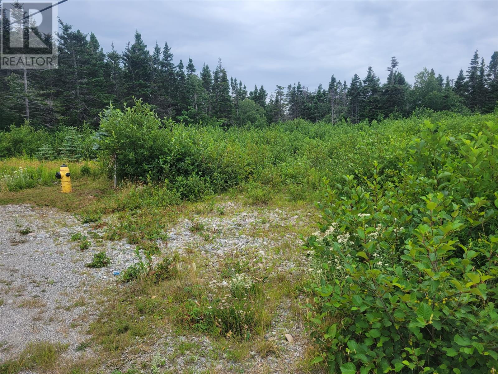 42-46 Courthouse Property Photo 1