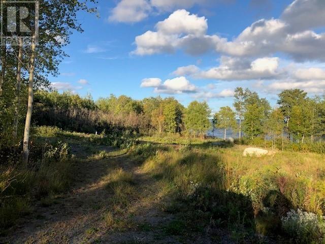 202 Comfort Cove Road Property Photo 2
