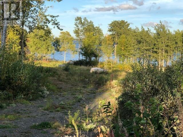 202 Comfort Cove Road Property Photo 3