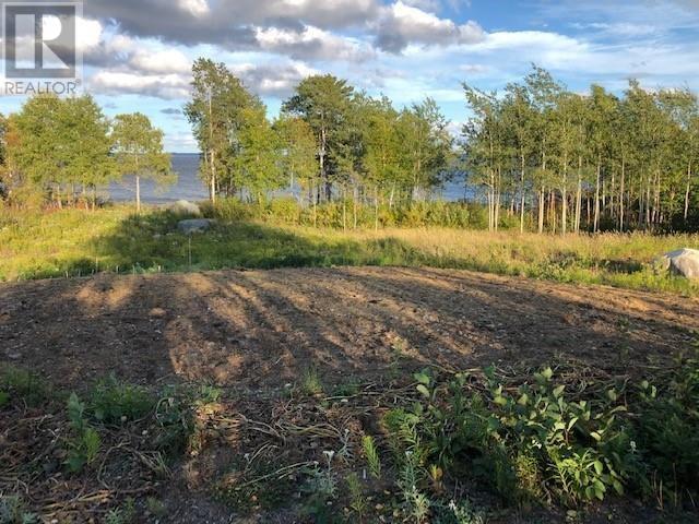 202 Comfort Cove Road Property Photo 18