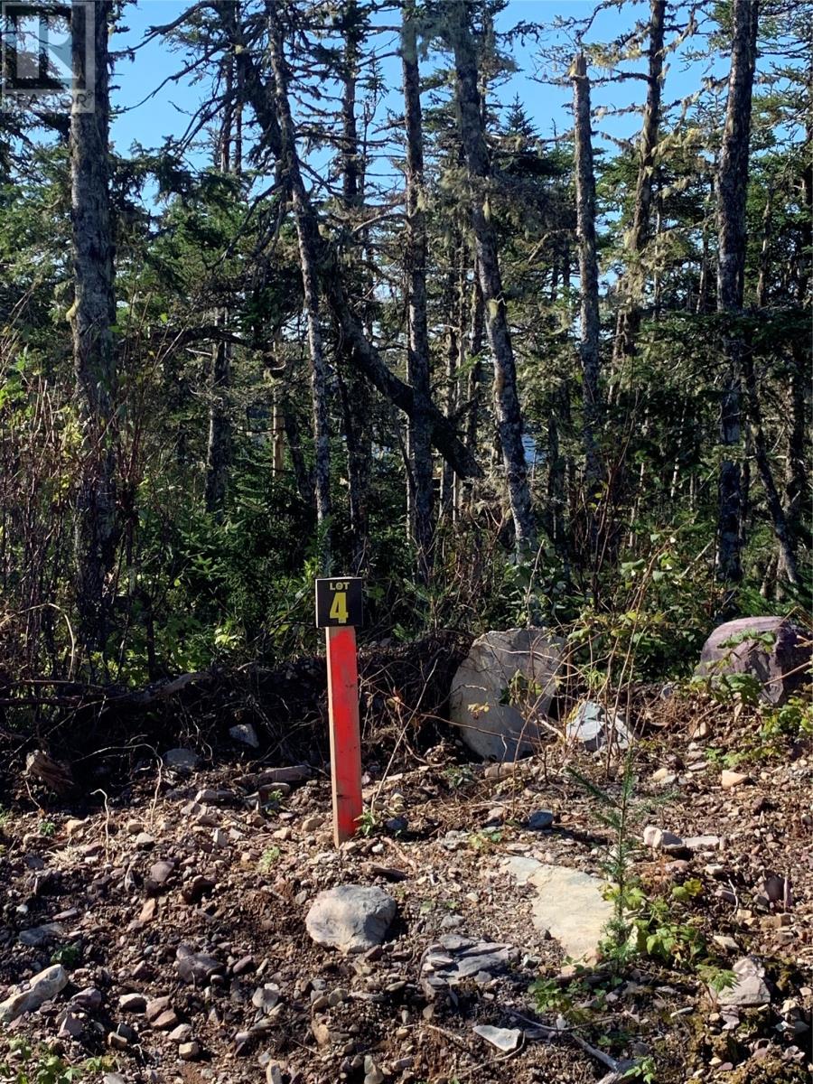 Lot 28 Halleran Trail Property Photo 5