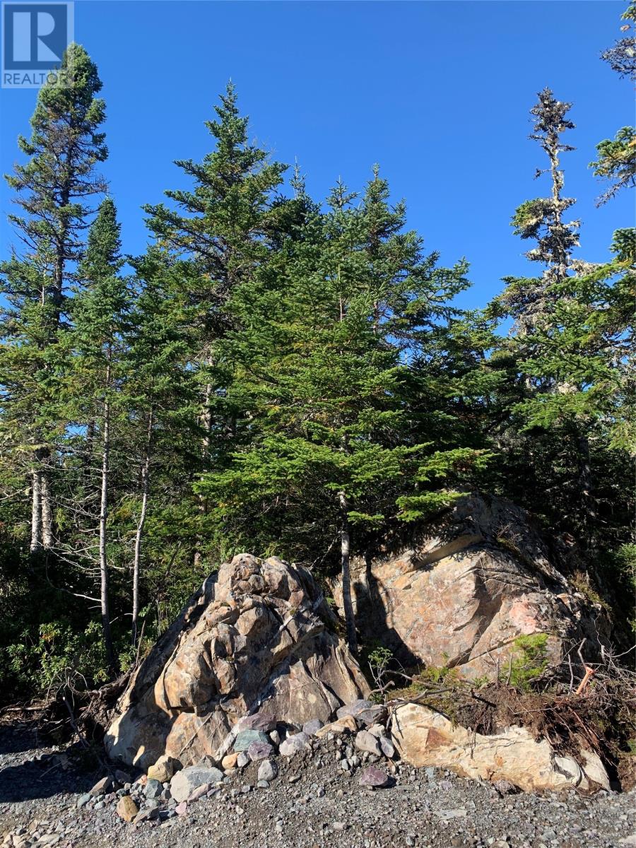 Lot 28 Halleran Trail Property Photo 8