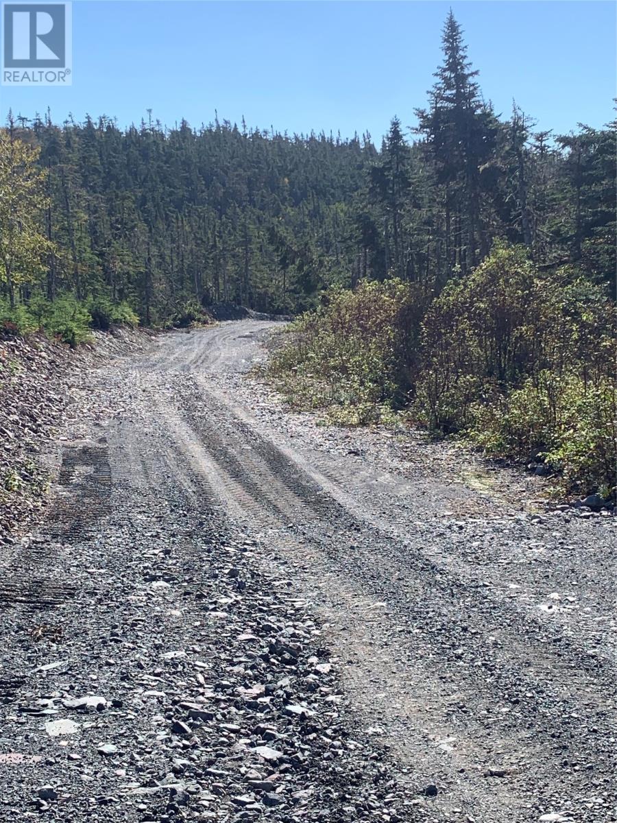Lot 28 Halleran Trail Property Photo 10