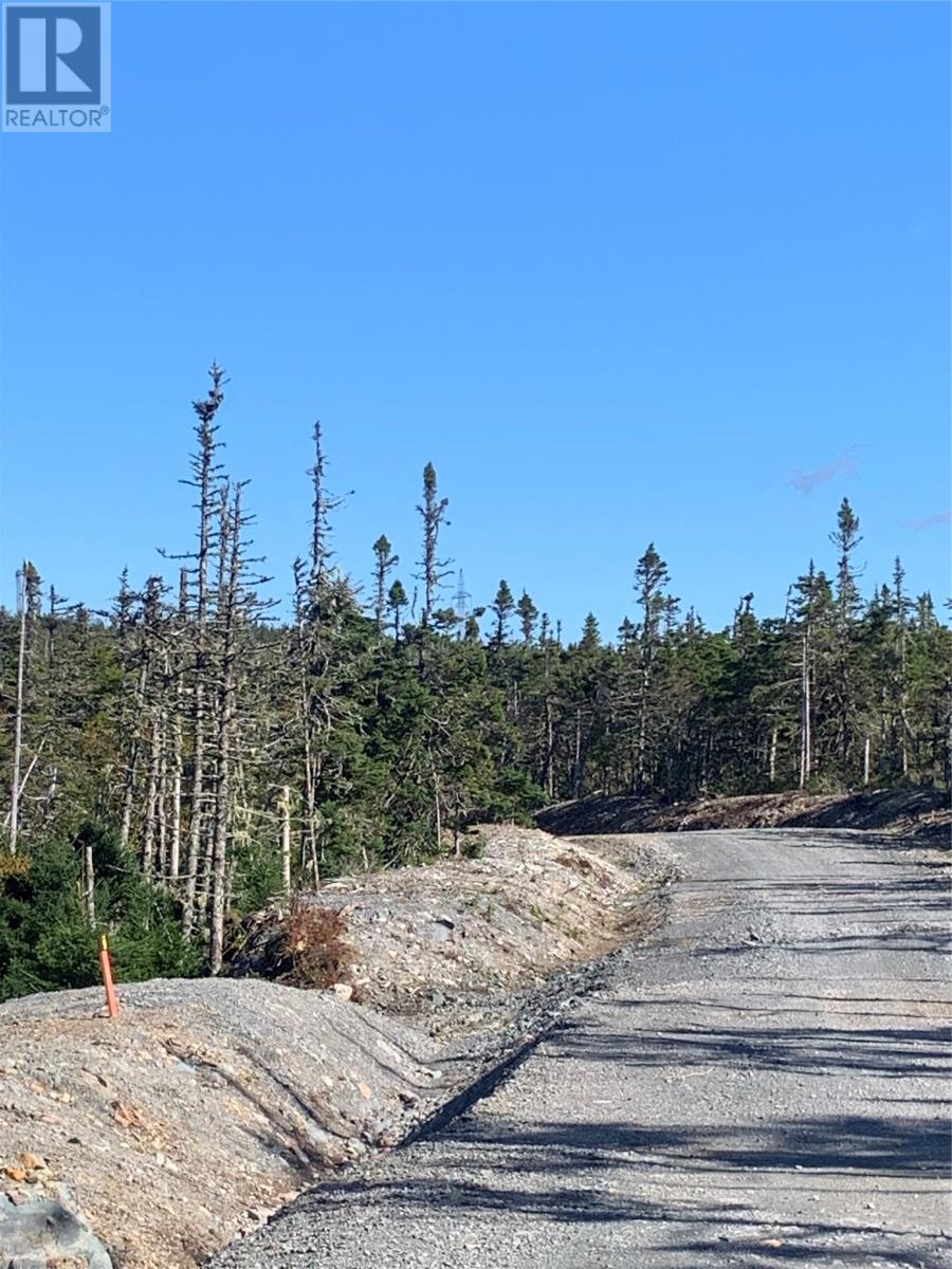 Lot 28 Halleran Trail Property Photo 13