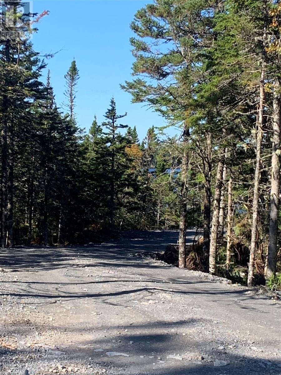 Lot 29 Halleran Trail Property Photo 2