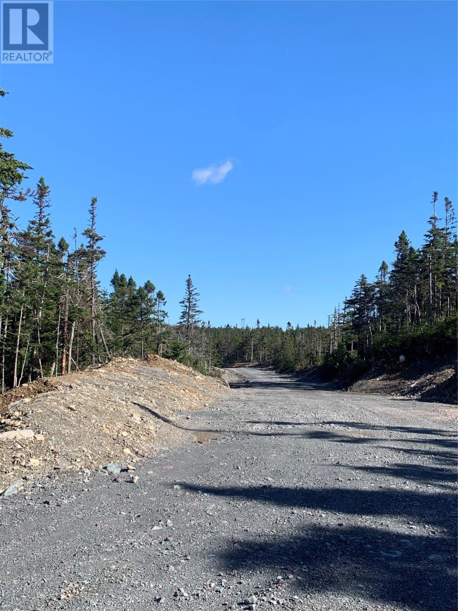 Lot 29 Halleran Trail Property Photo 7