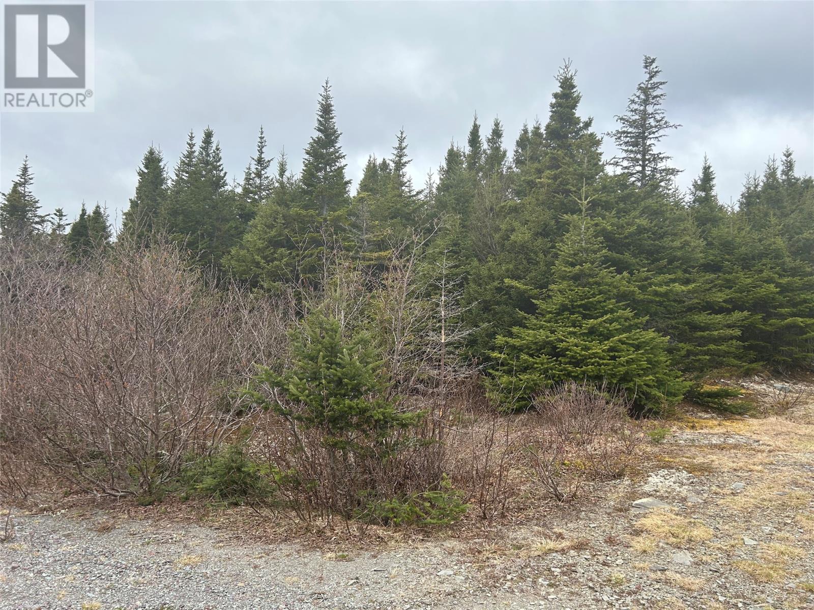 Lot #01 Slate Mine Road Property Photo 1