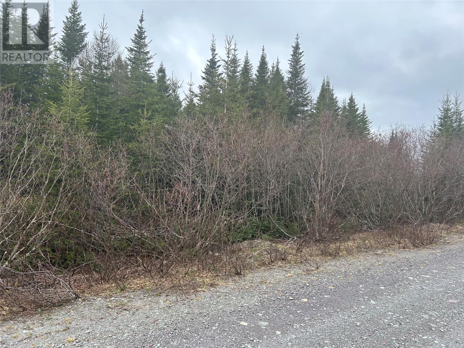 Lot #01 Slate Mine Road Property Photo 3