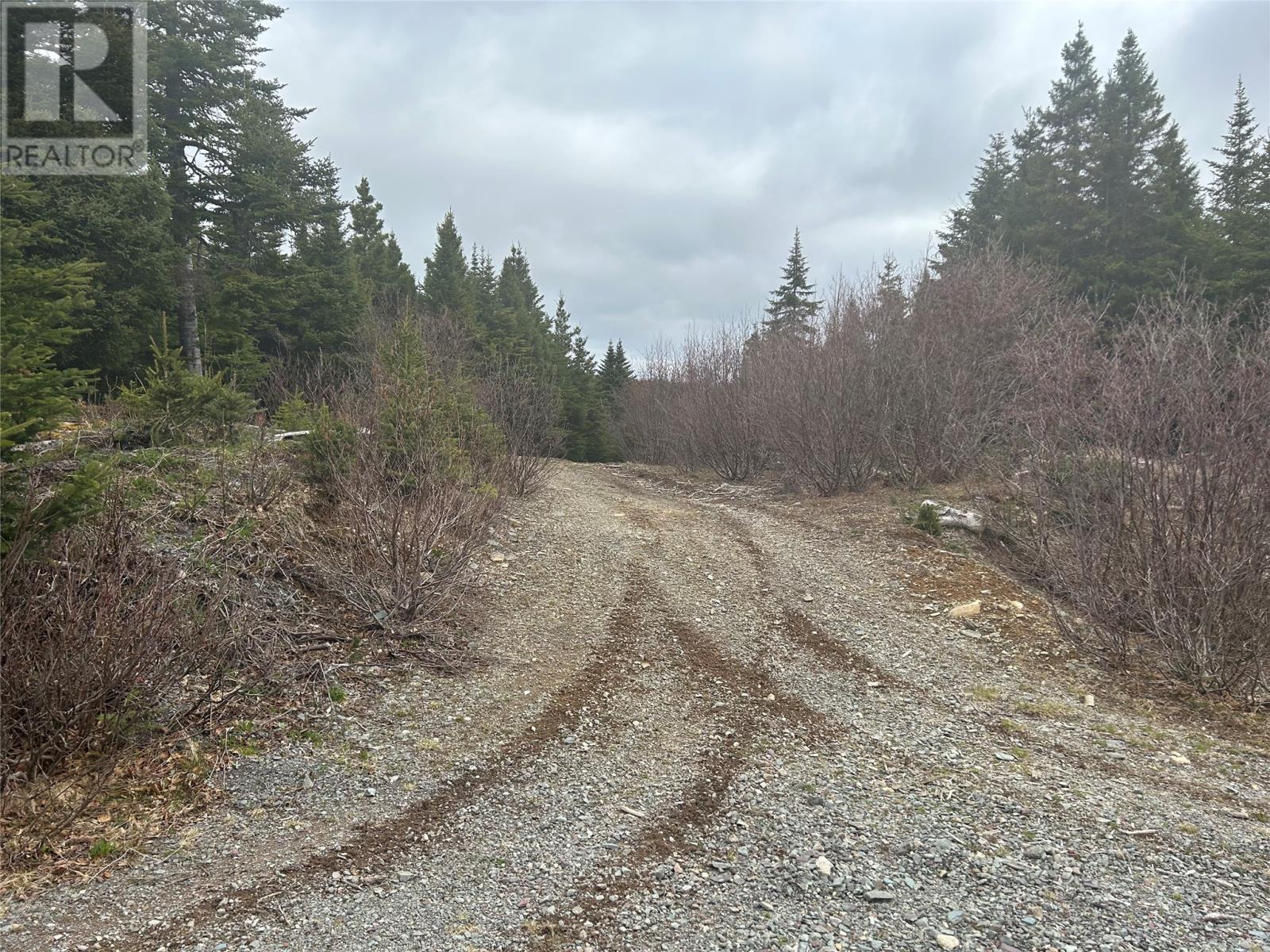Lot #01 Slate Mine Road Property Photo 5