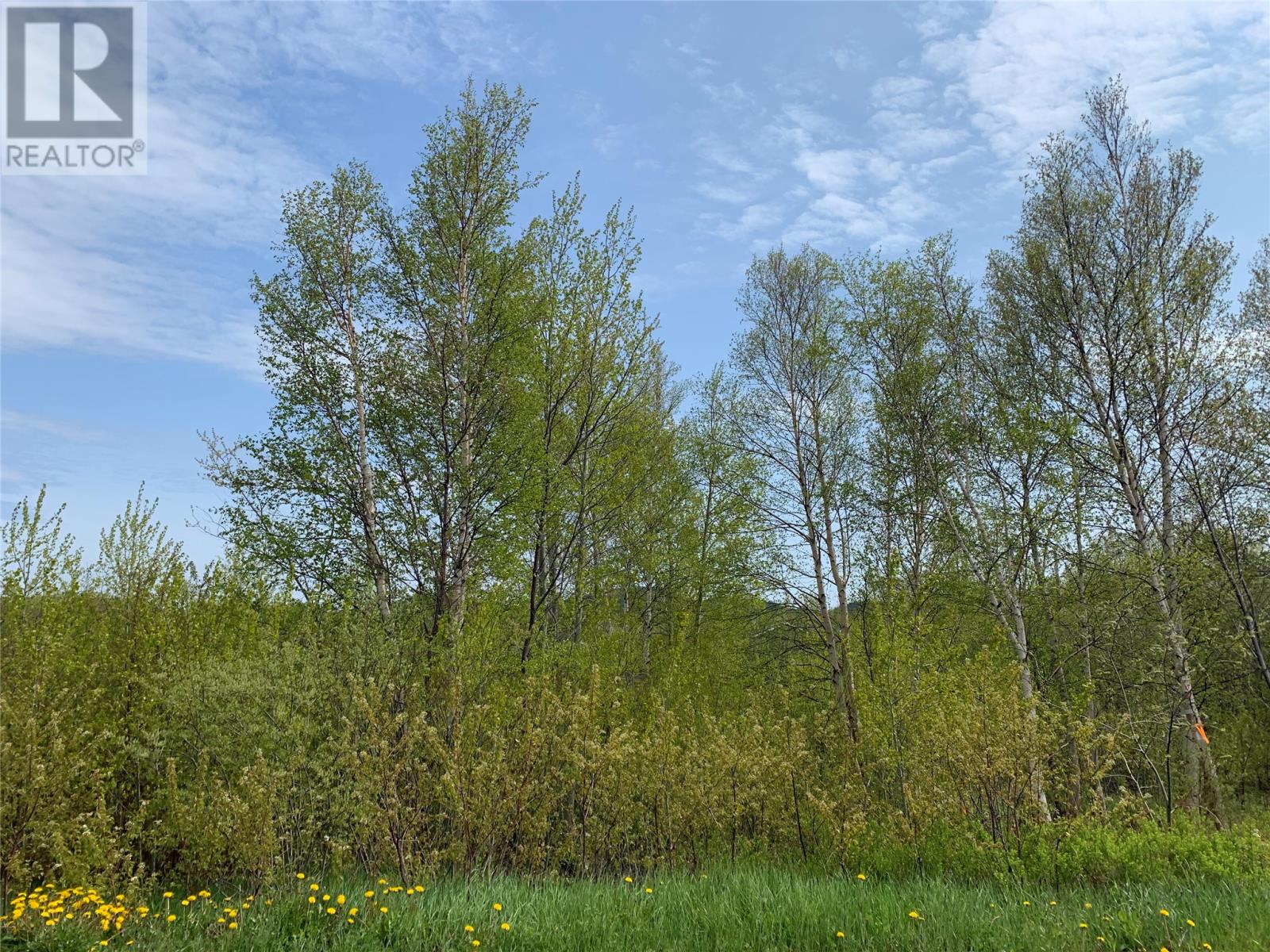 2 Pond Road Property Photo 2