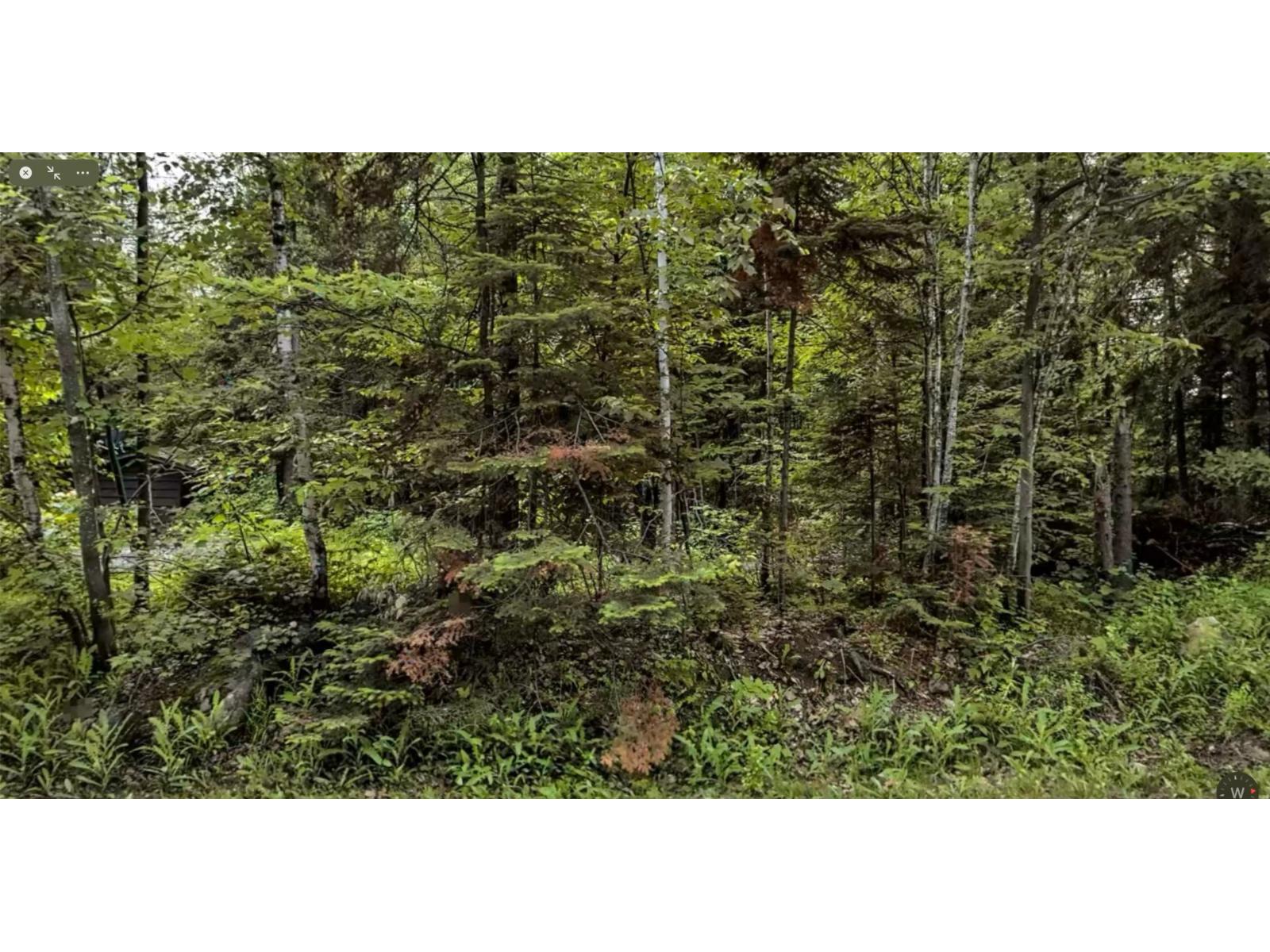 Rue Du Mont-blanc Property Photo 3