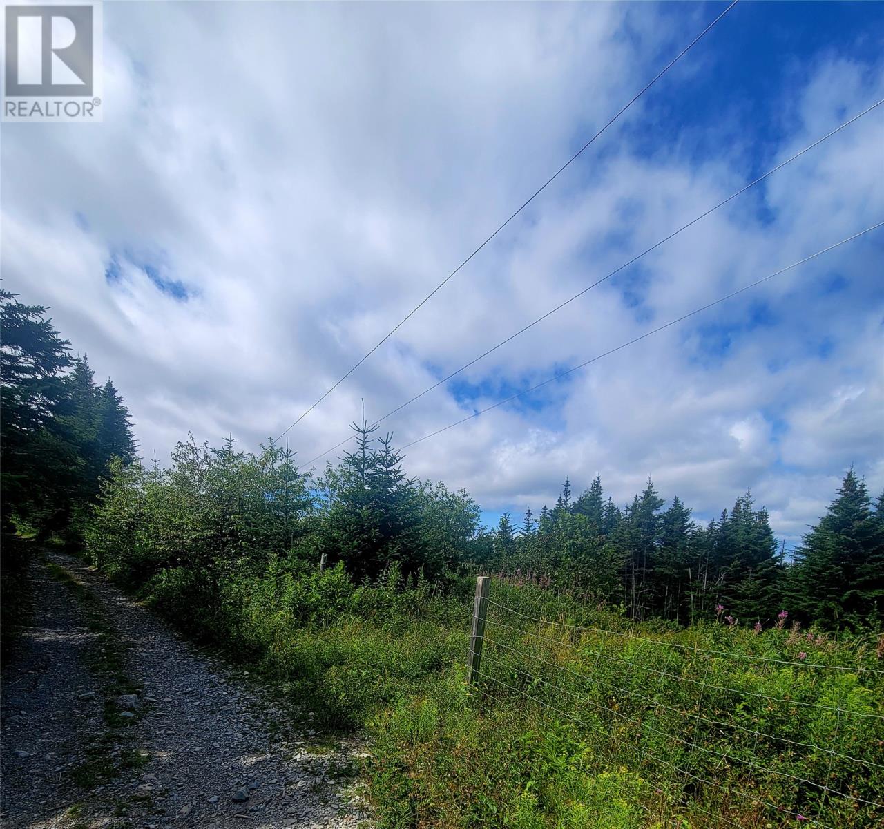 38 Cathill Road Property Photo 2