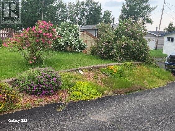 46 Roberts Arm Road Property Photo 34