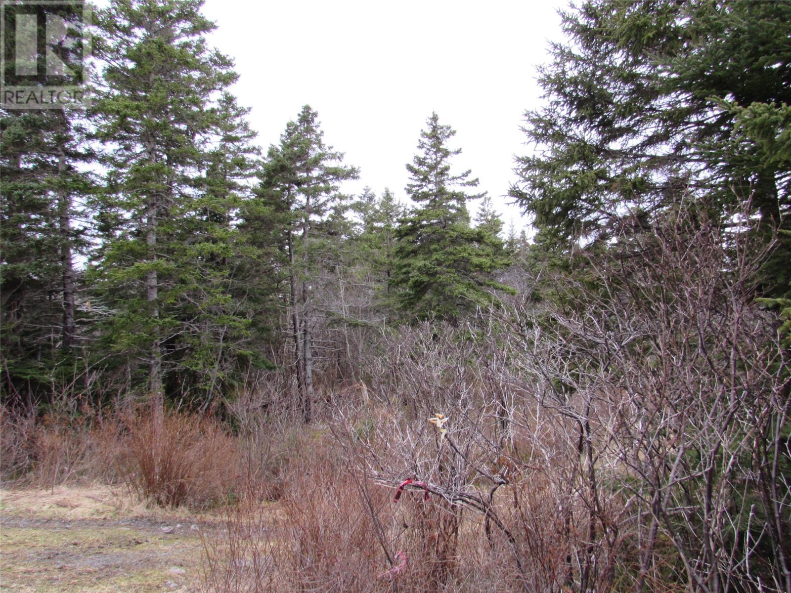 15-17 Bally Hack Road Property Photo 4