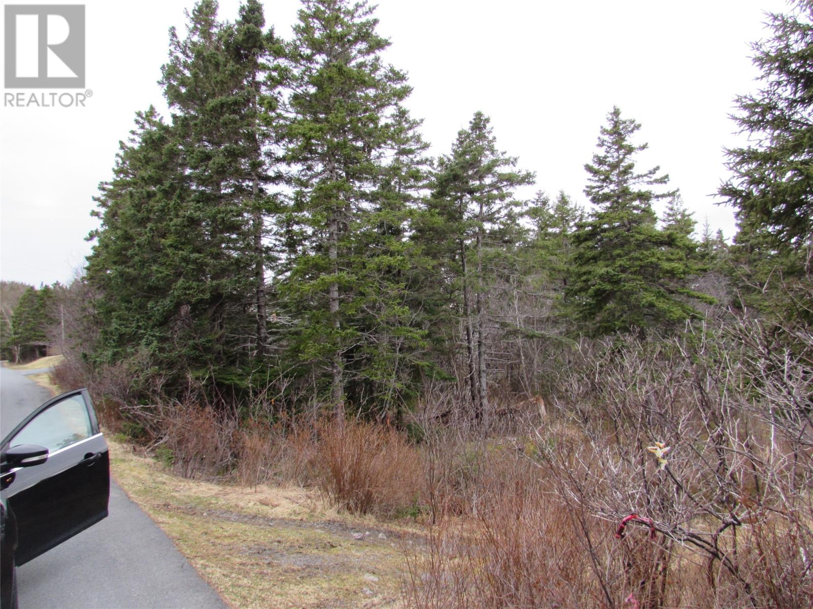 15-17 Bally Hack Road Property Photo 5