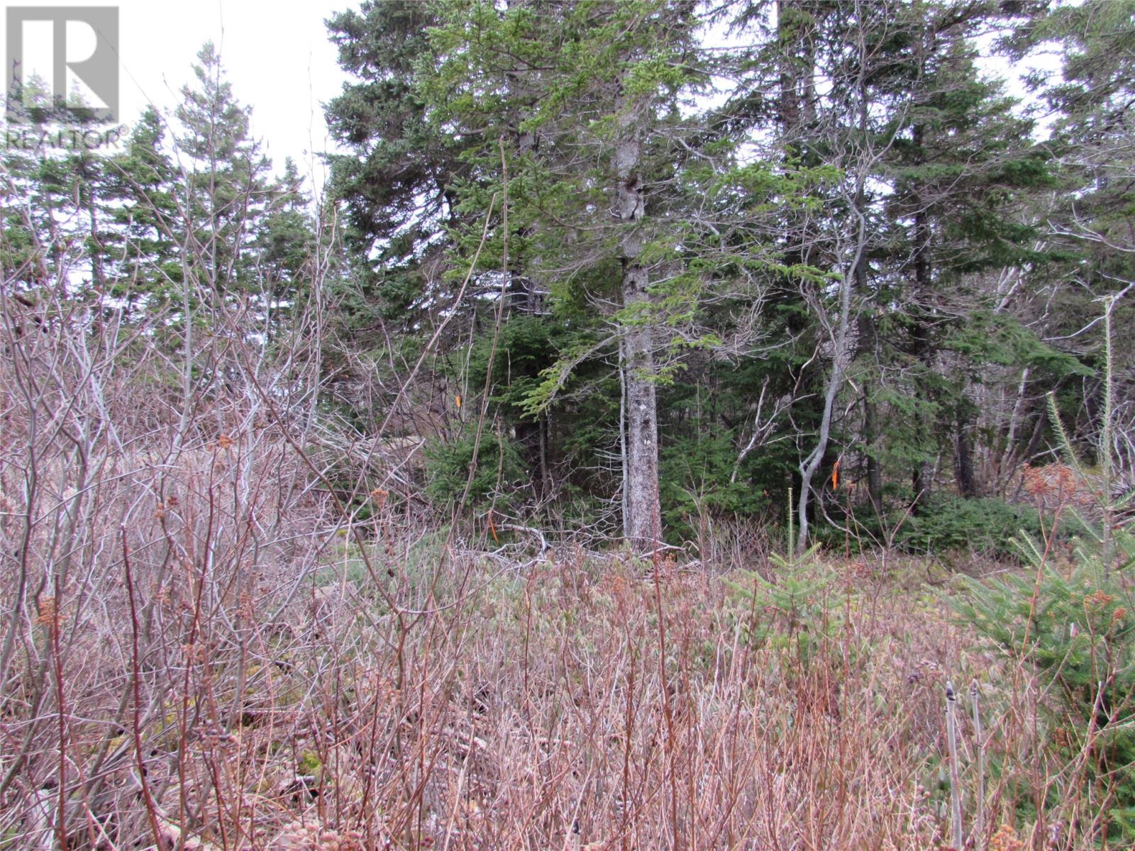 15-17 Bally Hack Road Property Photo 7