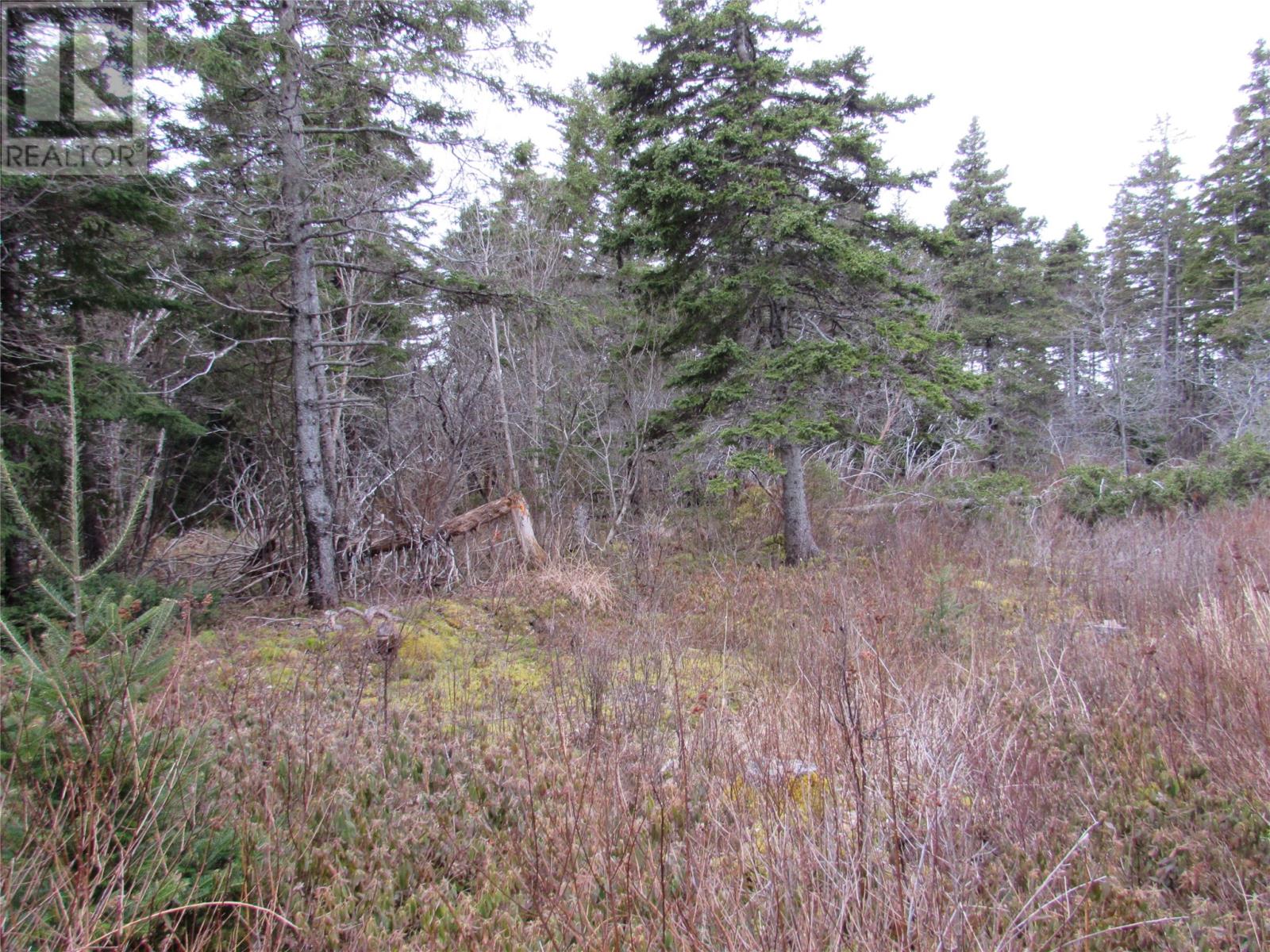 15-17 Bally Hack Road Property Photo 8