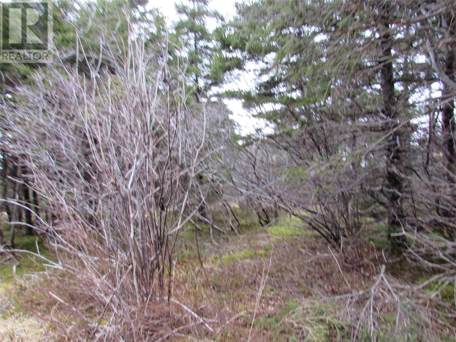15-17 Bally Hack Road Property Photo 10