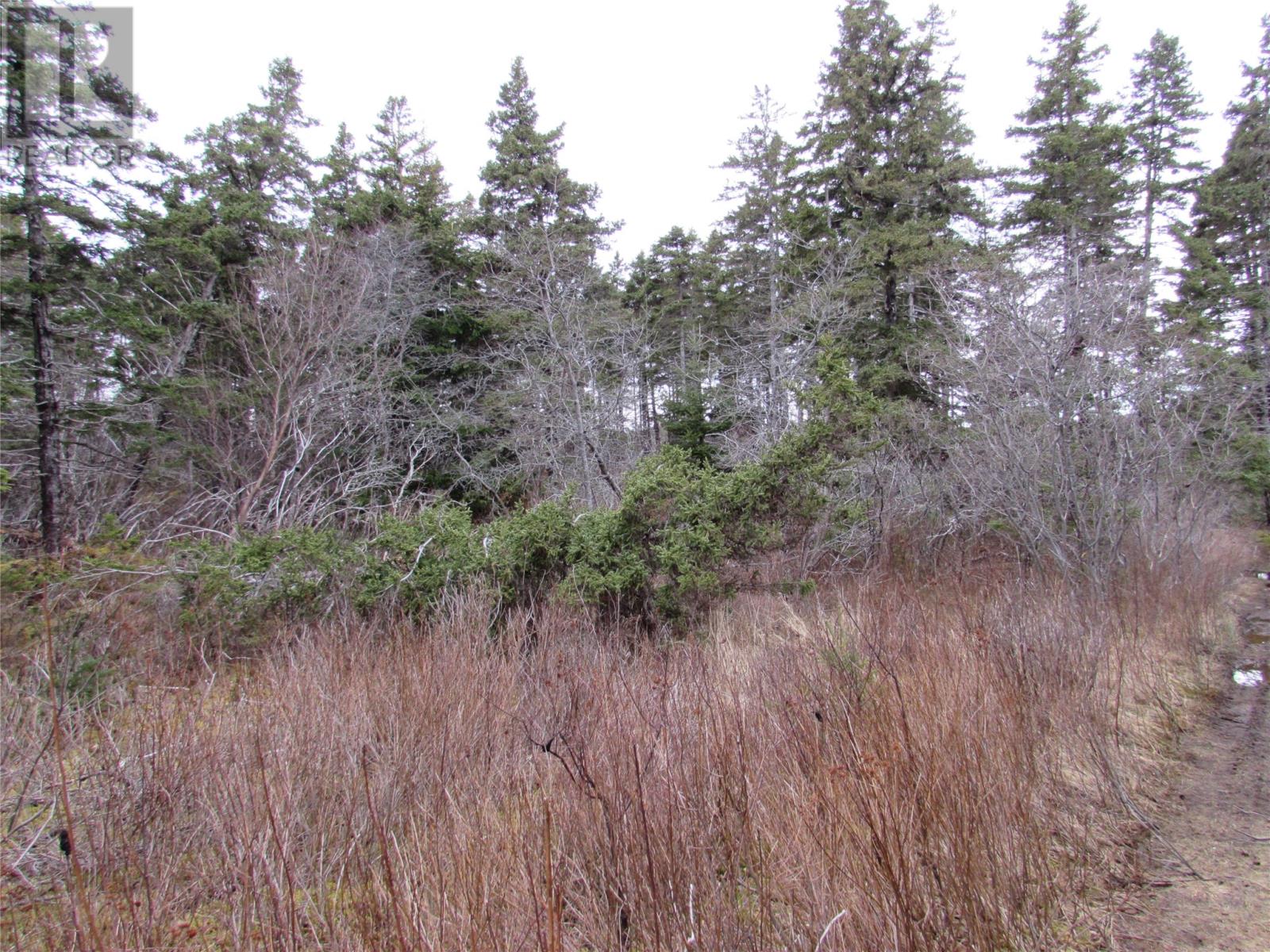 15-17 Bally Hack Road Property Photo 13