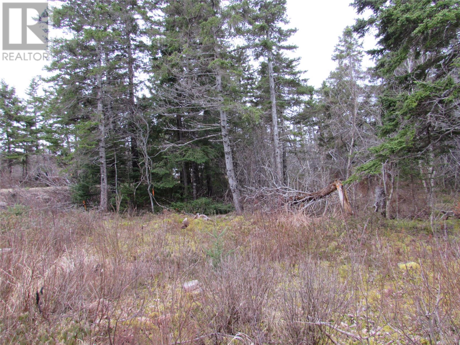 15-17 Bally Hack Road Property Photo 16