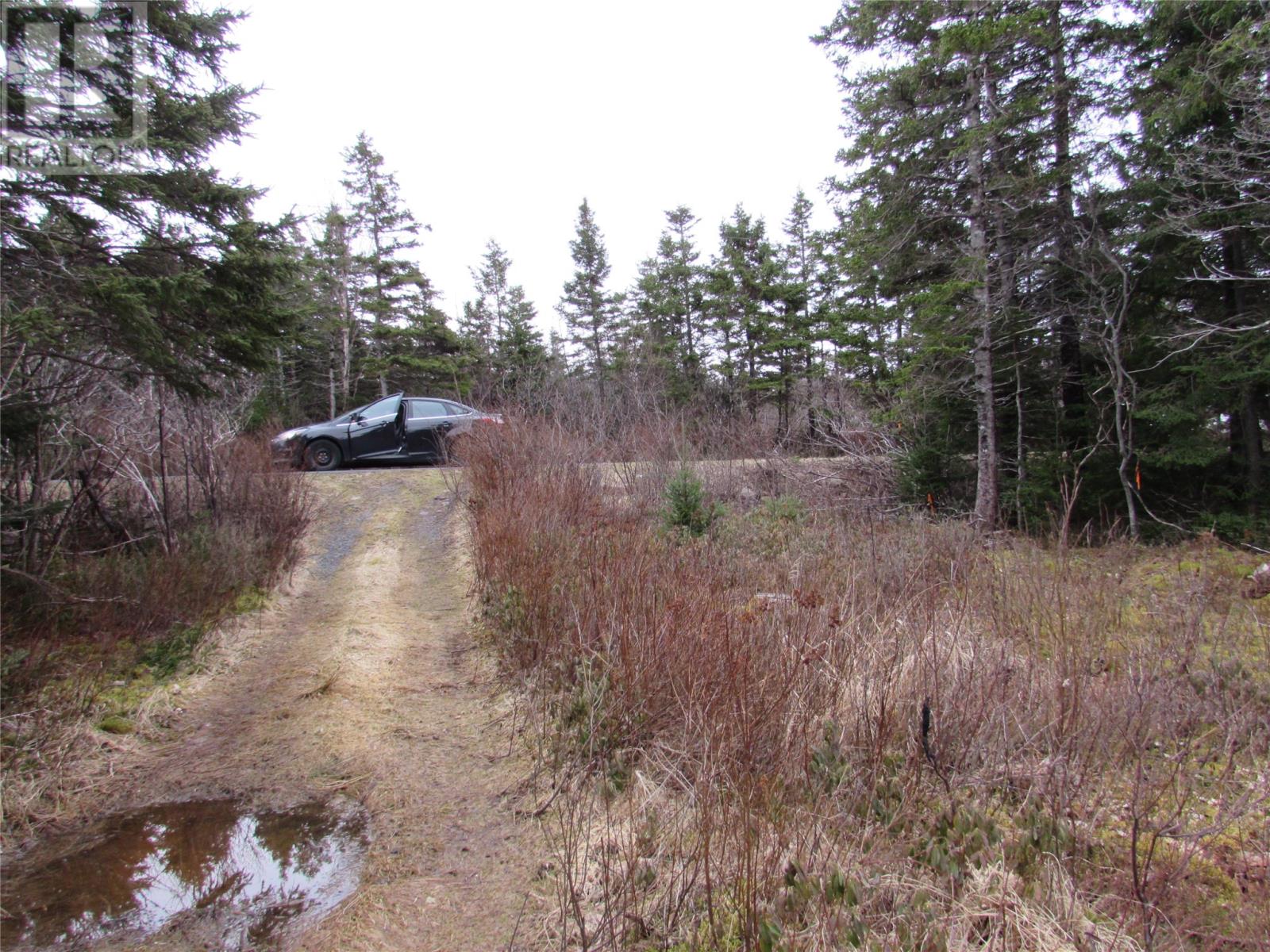 15-17 Bally Hack Road Property Photo 17