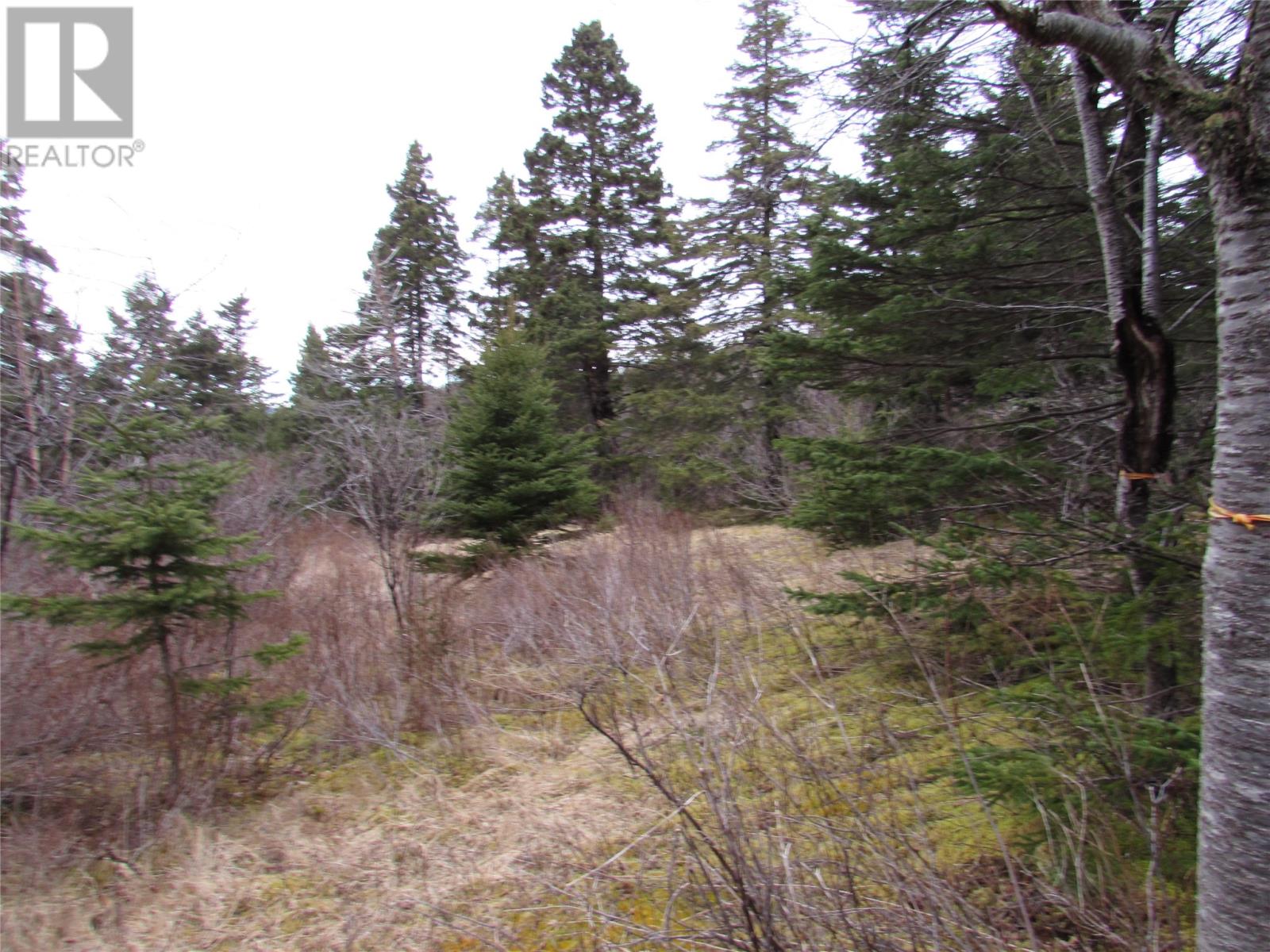 15-17 Bally Hack Road Property Photo 20