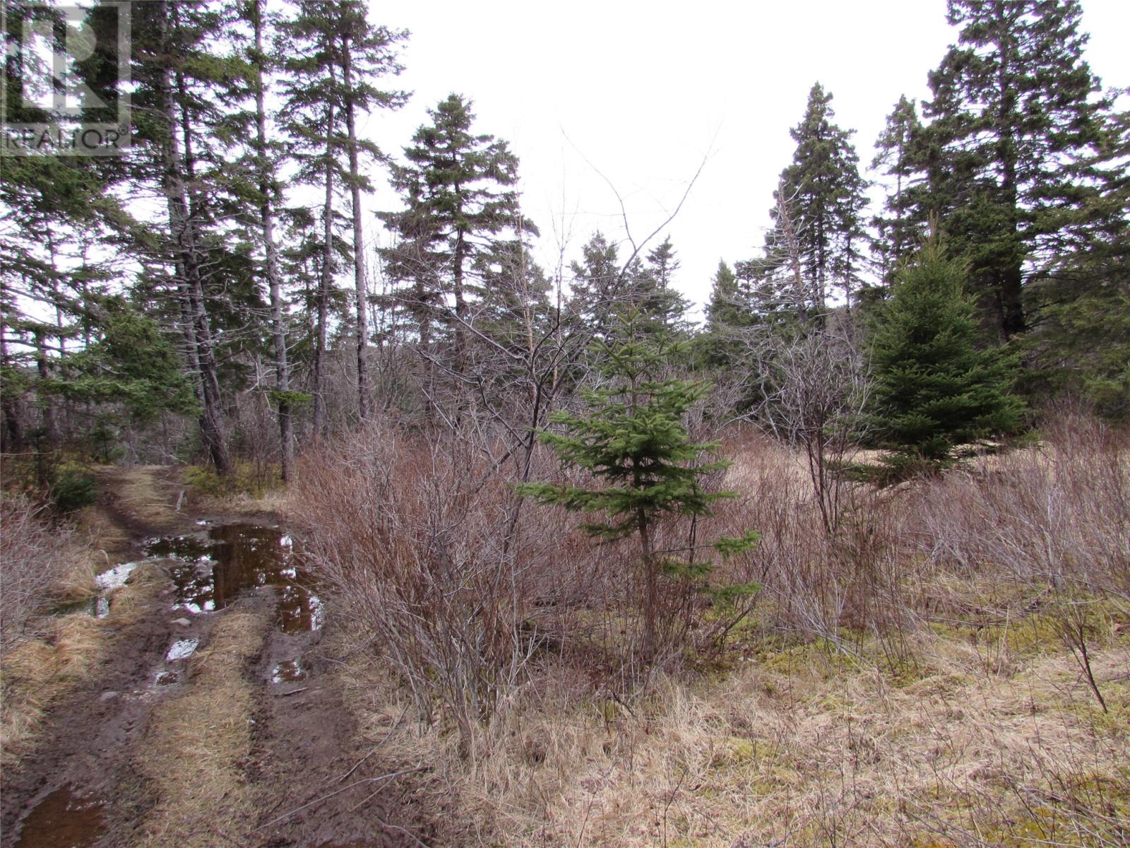 15-17 Bally Hack Road Property Photo 21