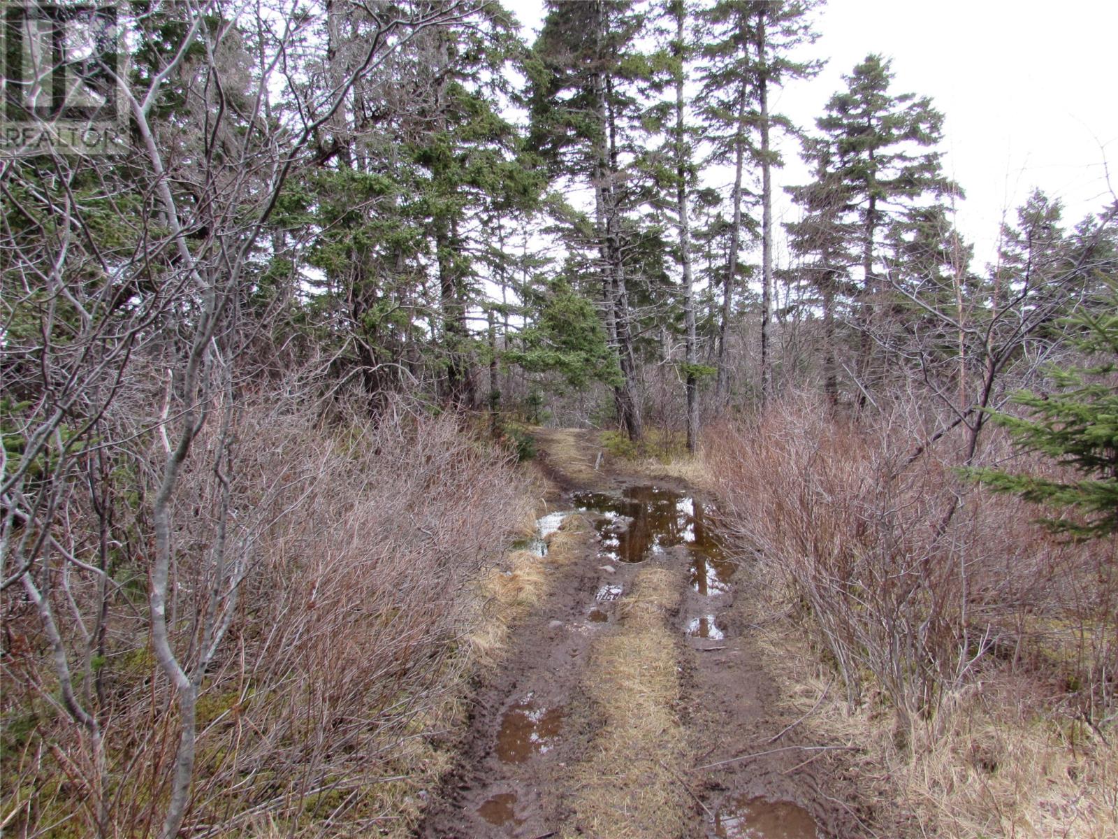 15-17 Bally Hack Road Property Photo 22