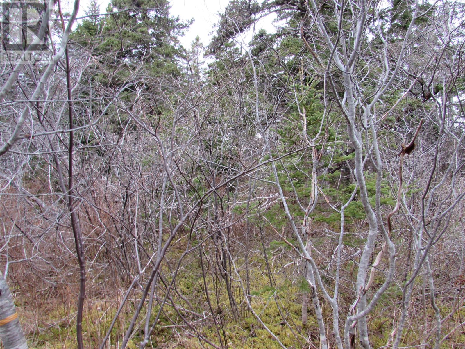 15-17 Bally Hack Road Property Photo 23