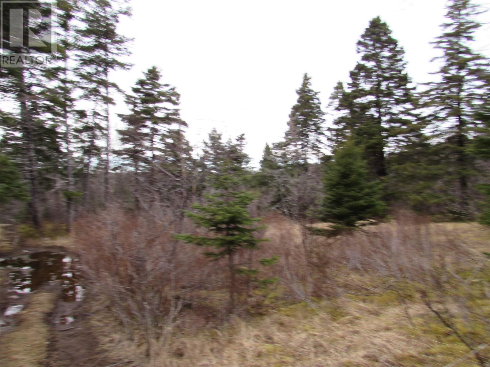 15-17 Bally Hack Road Property Photo 26