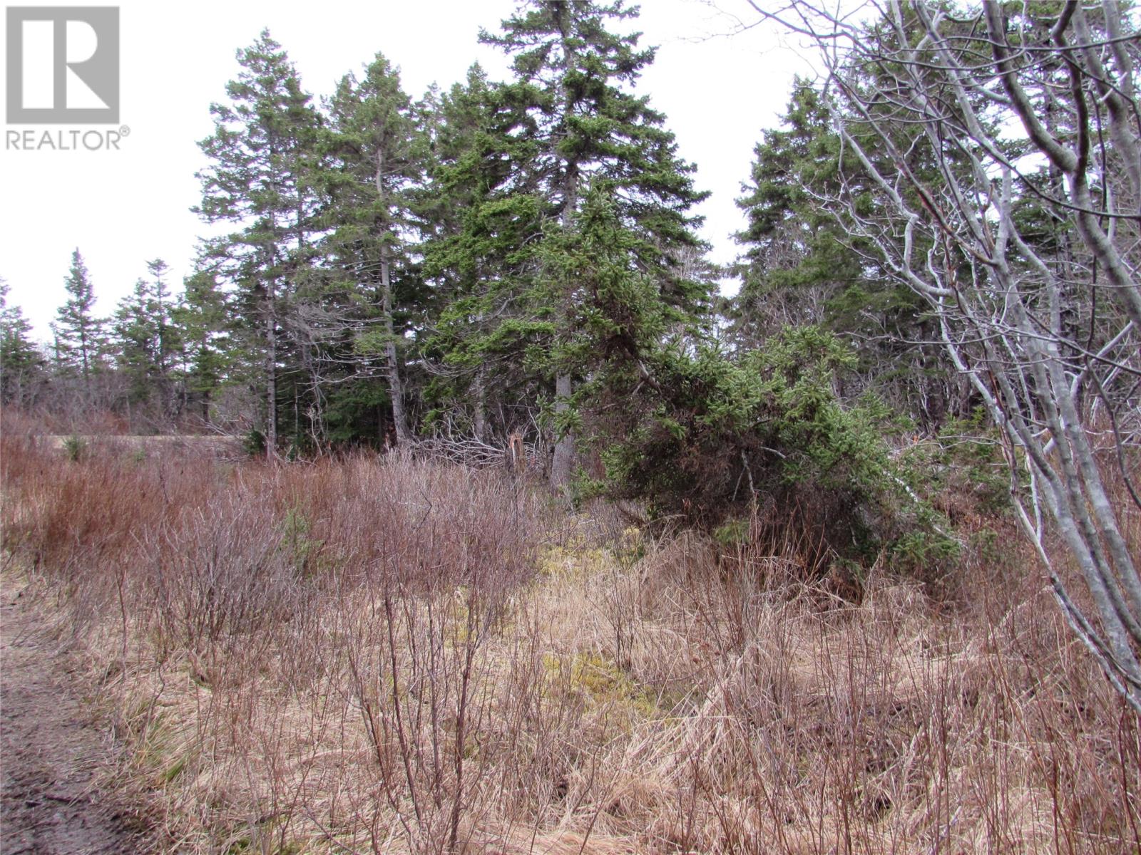 15-17 Bally Hack Road Property Photo 27