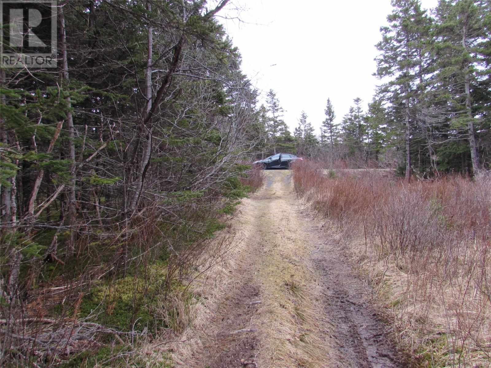 15-17 Bally Hack Road Property Photo 28