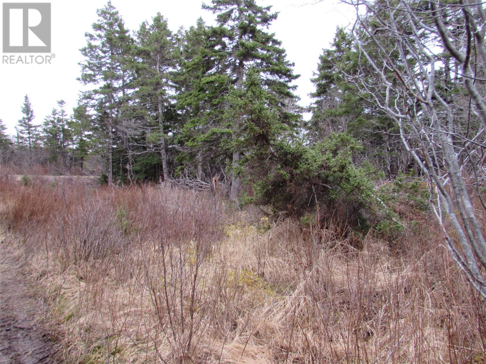 15-17 Bally Hack Road Property Photo 29