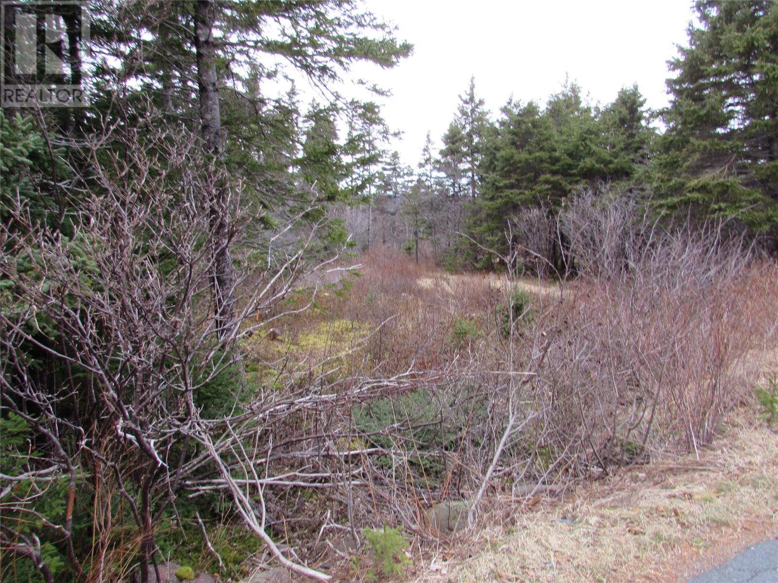 15-17 Bally Hack Road Property Photo 30