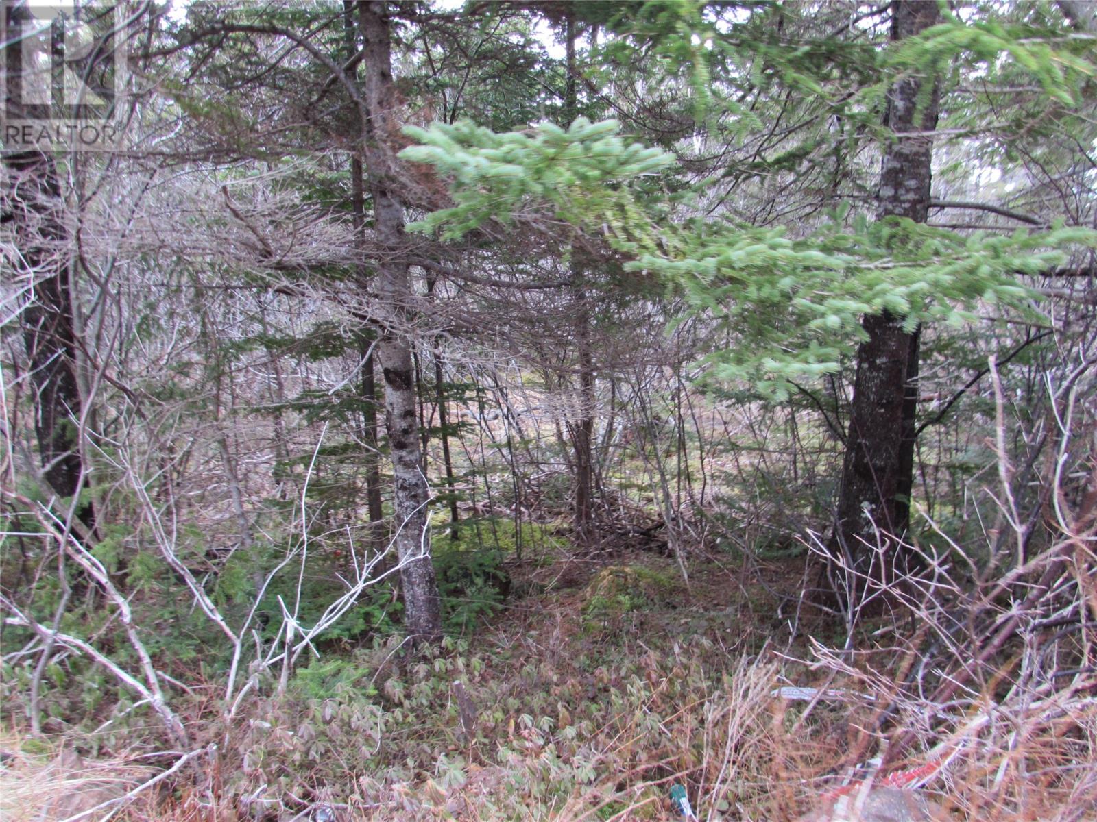 15-17 Bally Hack Road Property Photo 31