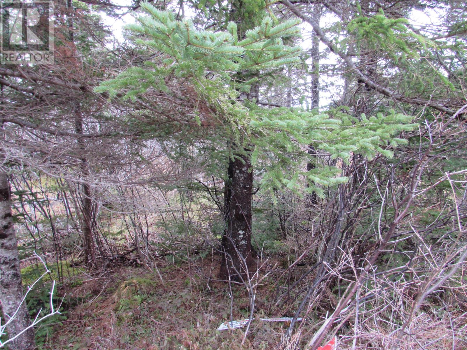 15-17 Bally Hack Road Property Photo 32