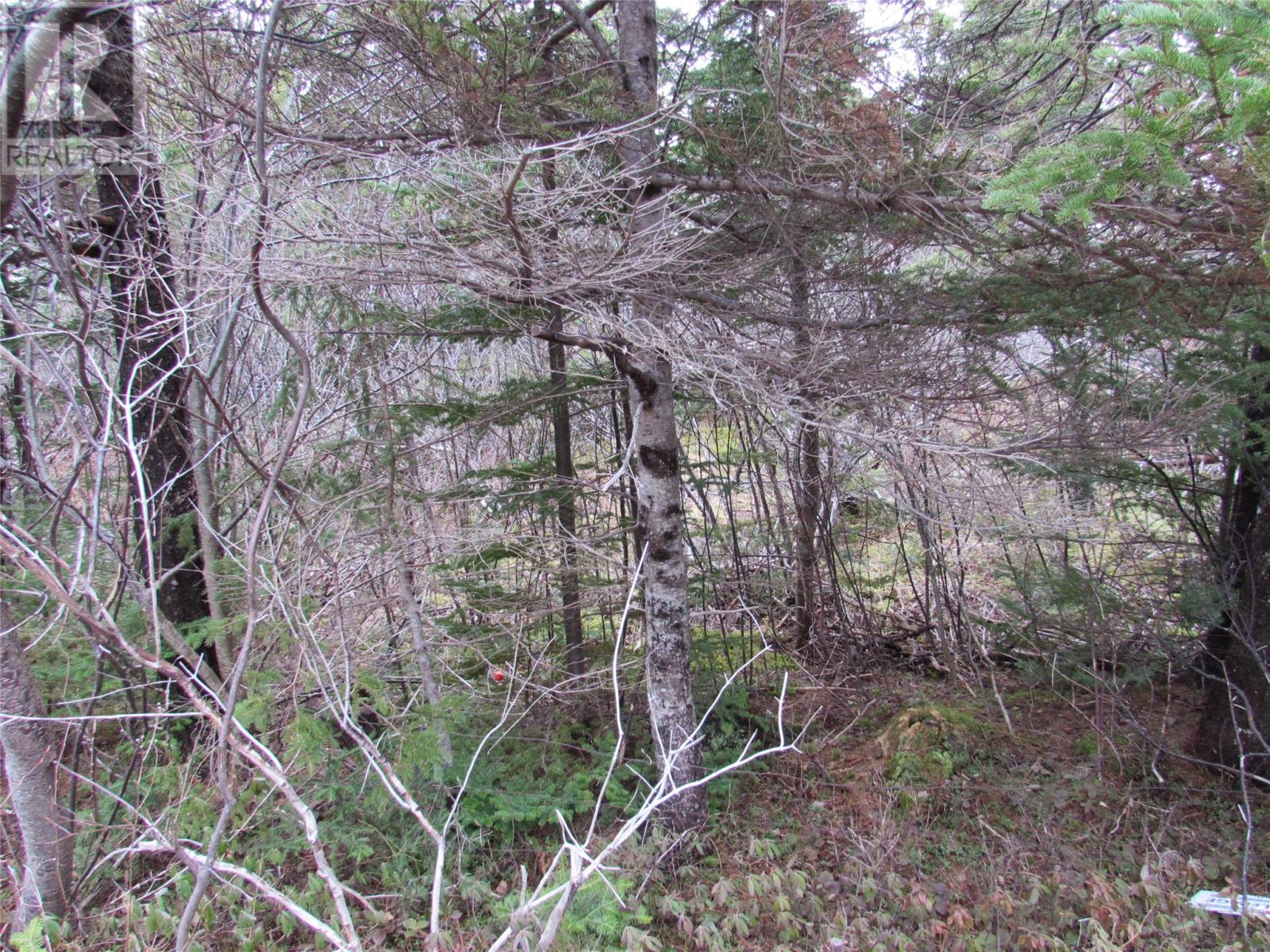 15-17 Bally Hack Road Property Photo 33