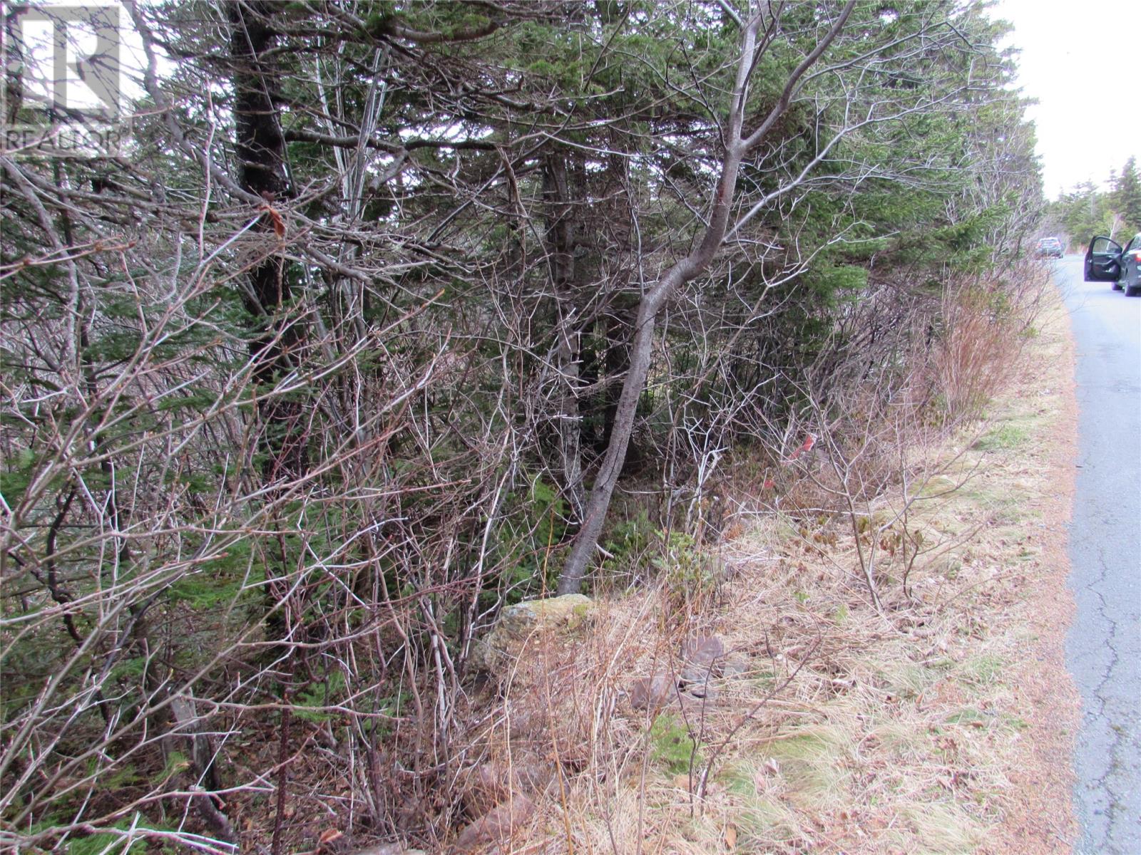 15-17 Bally Hack Road Property Photo 35
