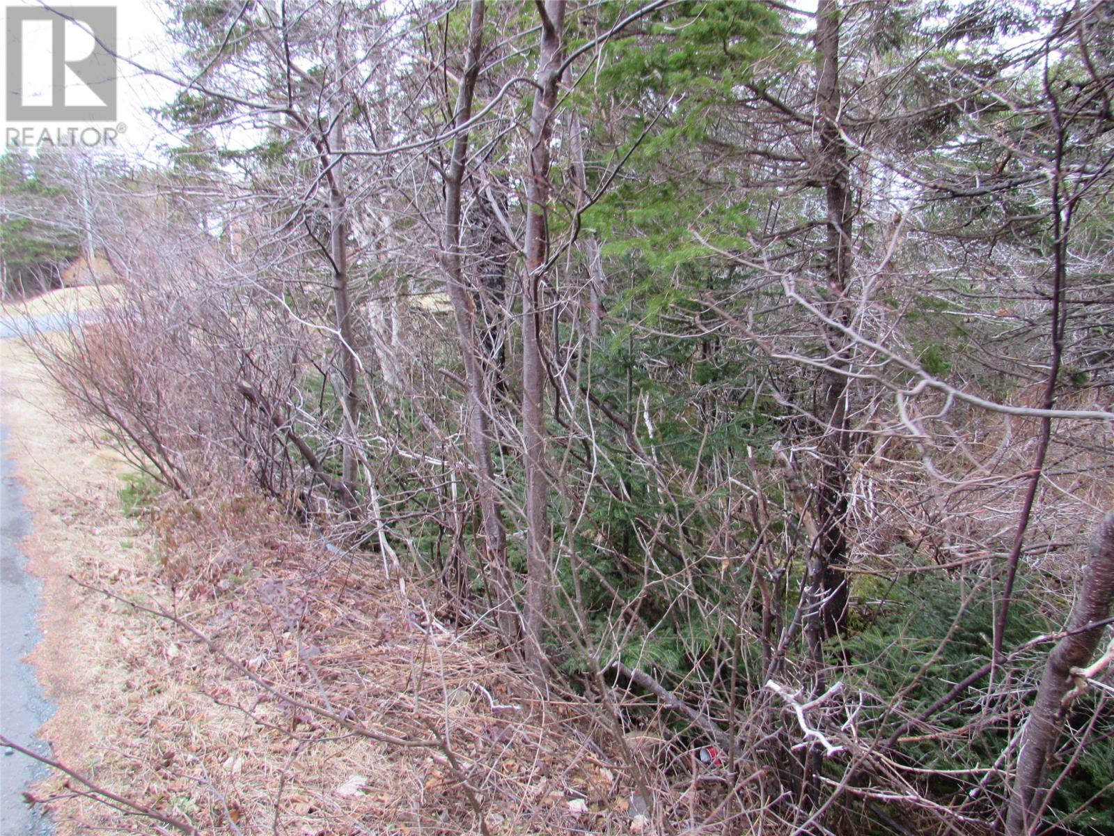15-17 Bally Hack Road Property Photo 36