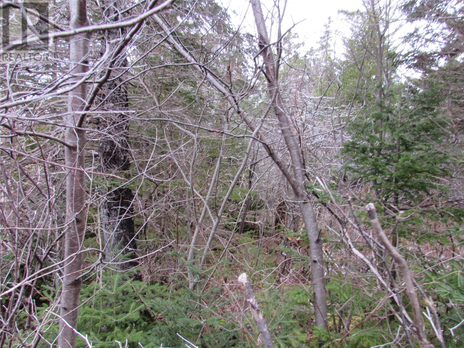 15-17 Bally Hack Road Property Photo 37