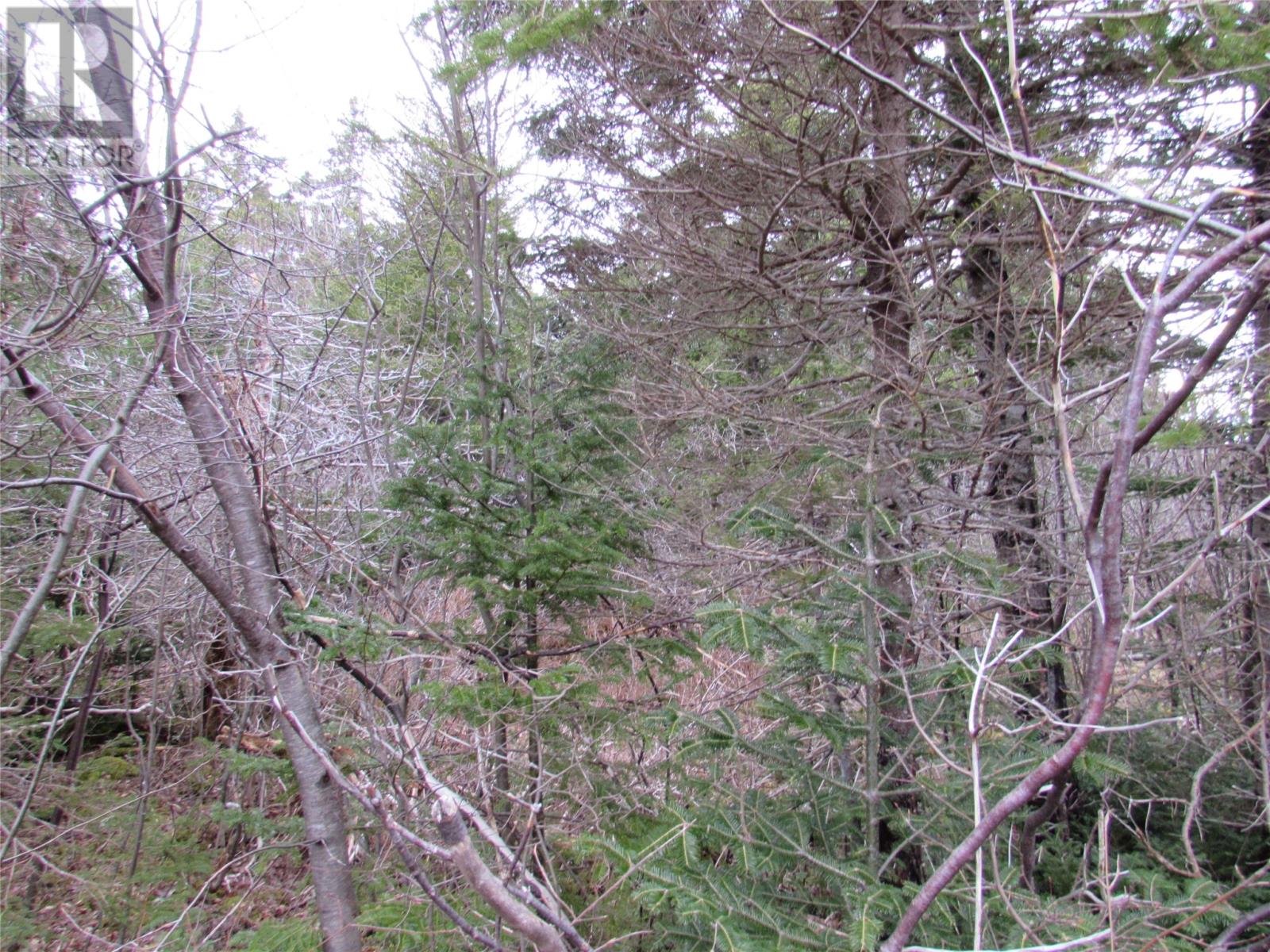 15-17 Bally Hack Road Property Photo 38