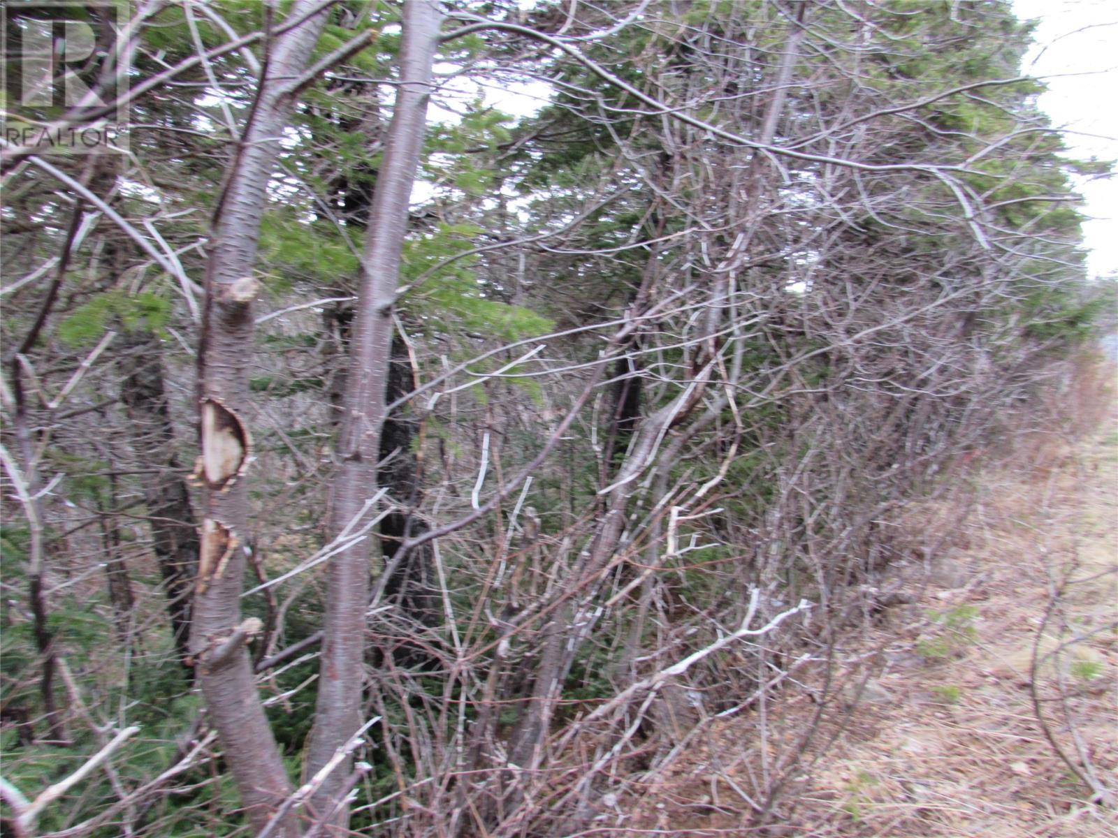 15-17 Bally Hack Road Property Photo 39
