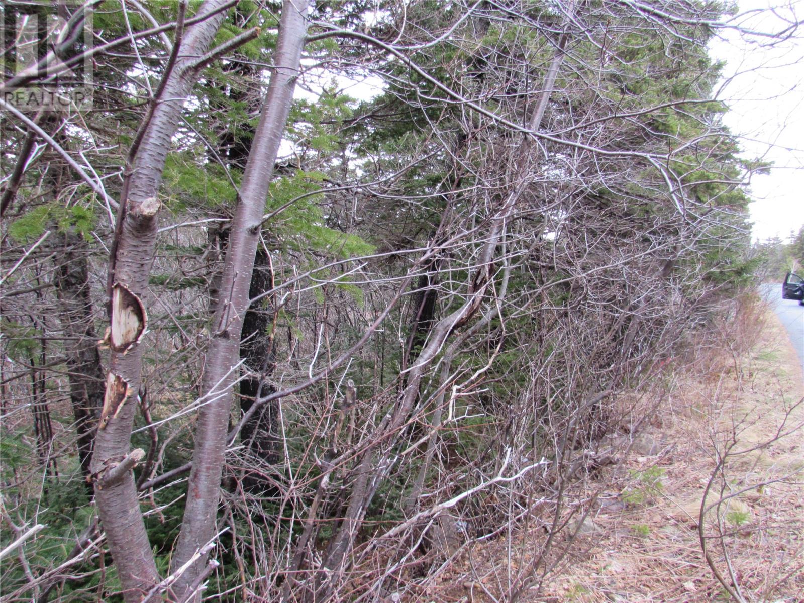 15-17 Bally Hack Road Property Photo 40