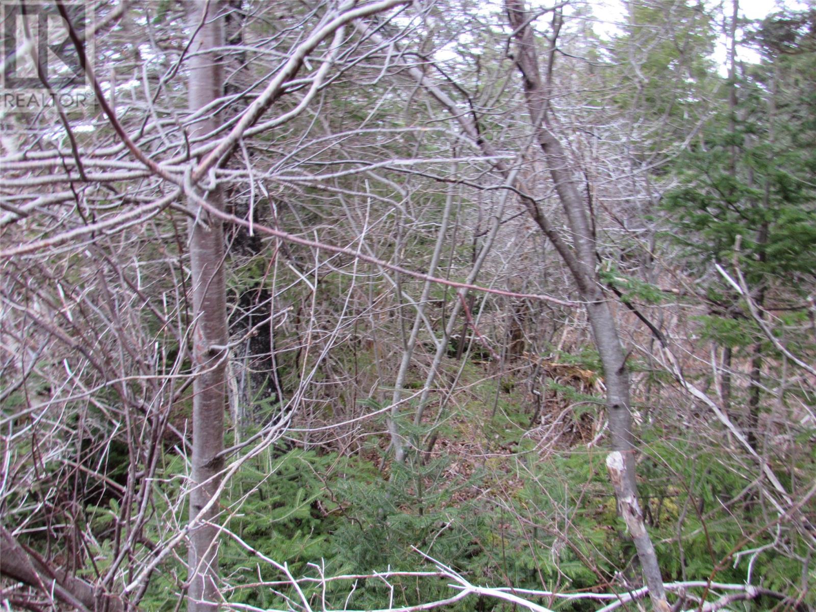 15-17 Bally Hack Road Property Photo 41