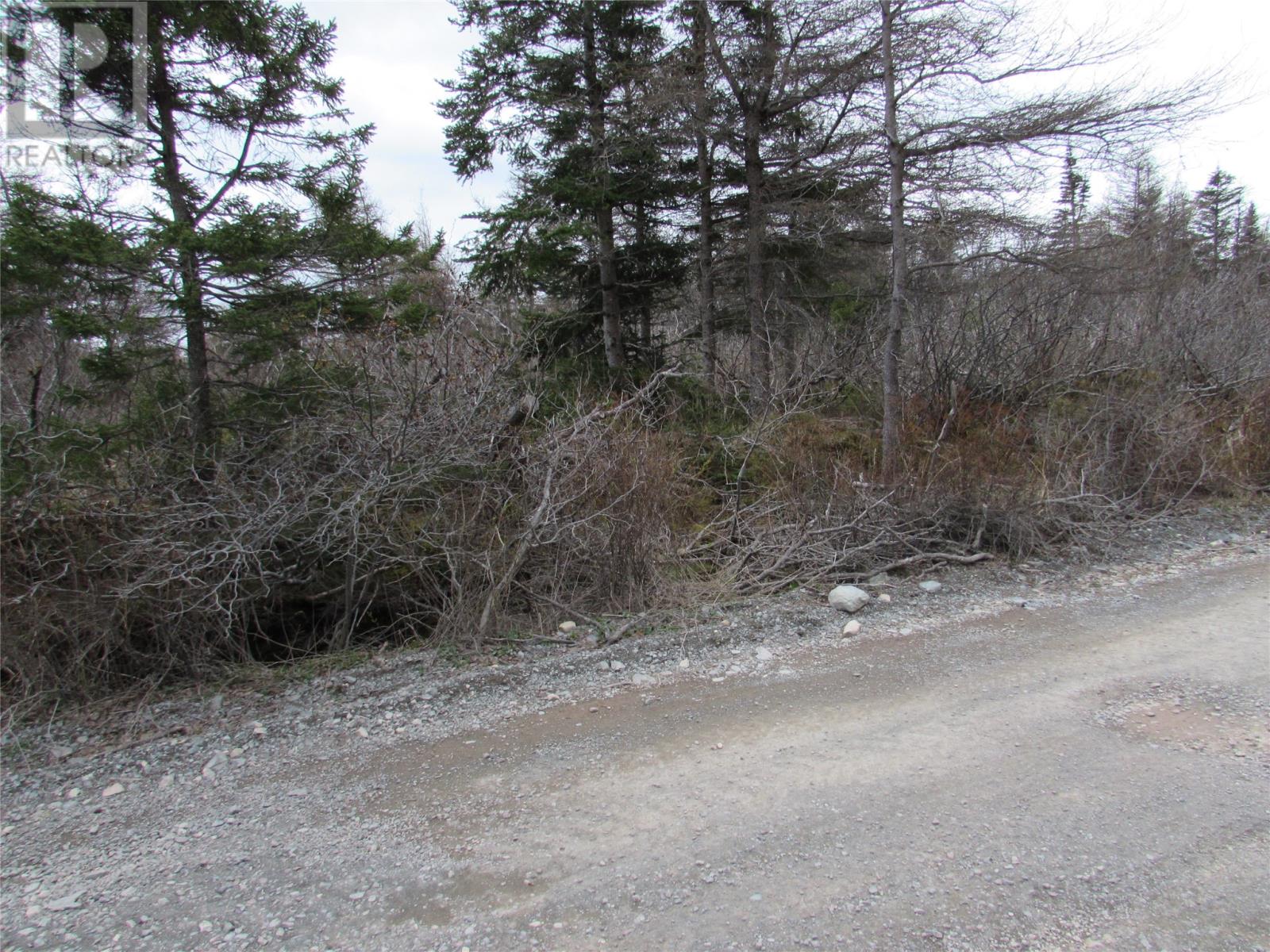 45 New Line Road Property Photo 4