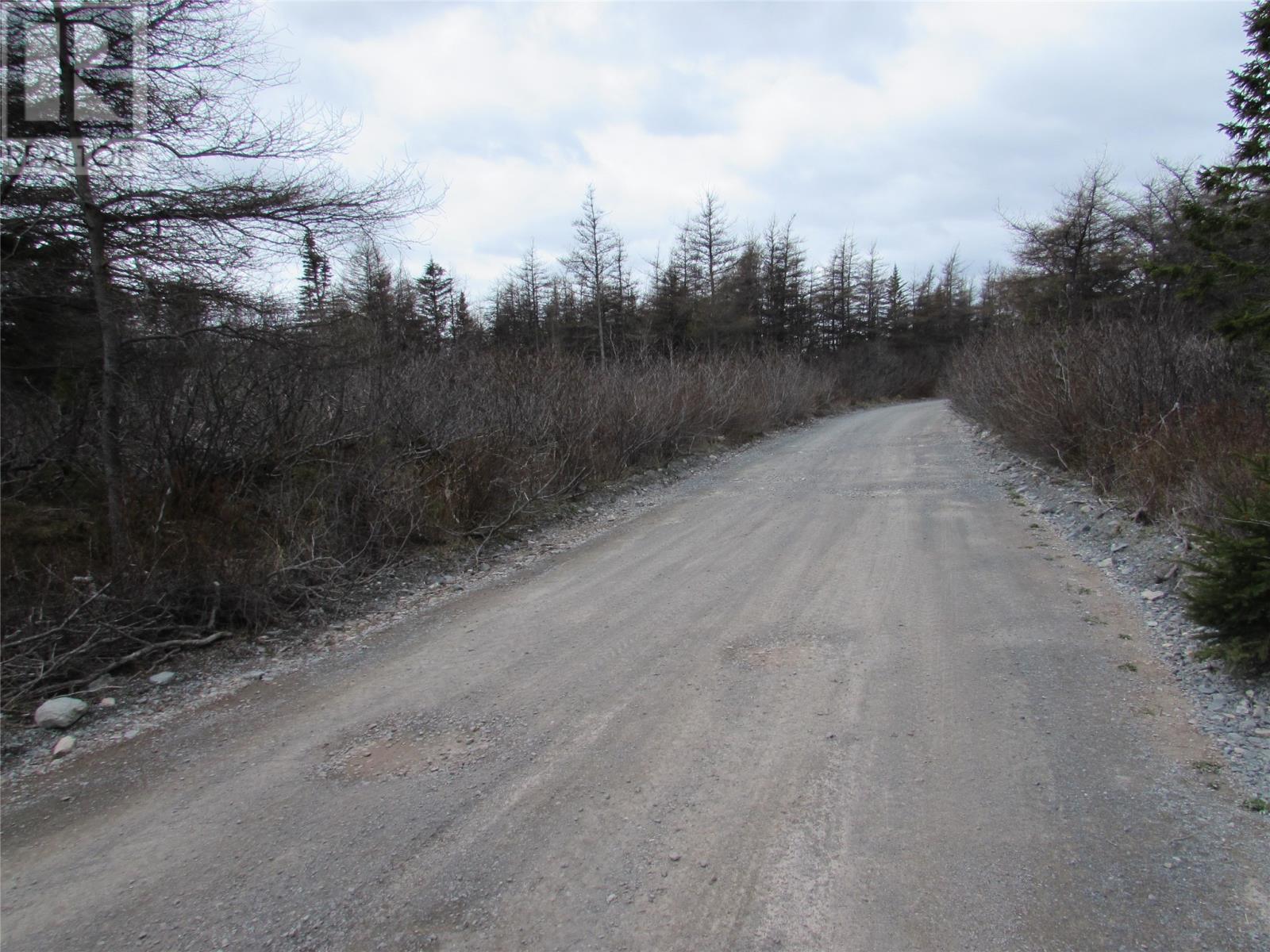 45 New Line Road Property Photo 6